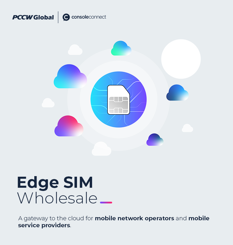 Edge Sim Wholesale – Console Connect